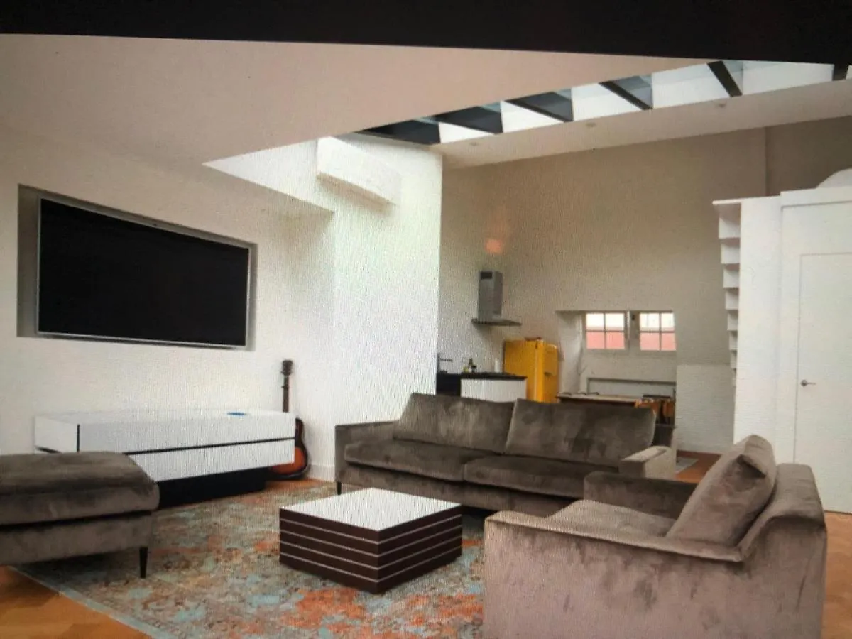 Fantastic Bright Penthouse Apartment Amsterdam Netherlands