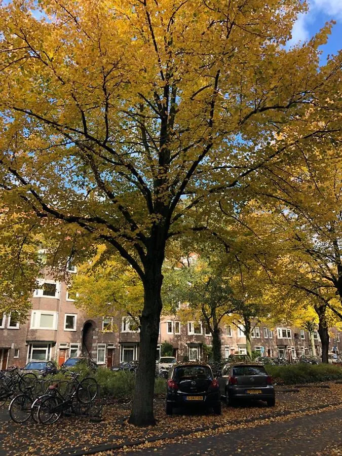 Fantastic Bright Penthouse Appartement Amsterdam Nederland